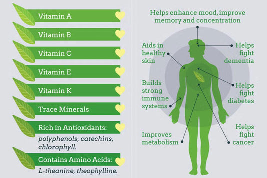 Why You Should Drink Matcha Every Day: Discover Its Amazing Health Benefits